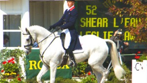 L’Irish Sport Horse : un cheval de Complet pour tous les niveaux !