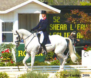 L’Irish Sport Horse : un cheval de Complet pour tous les niveaux !