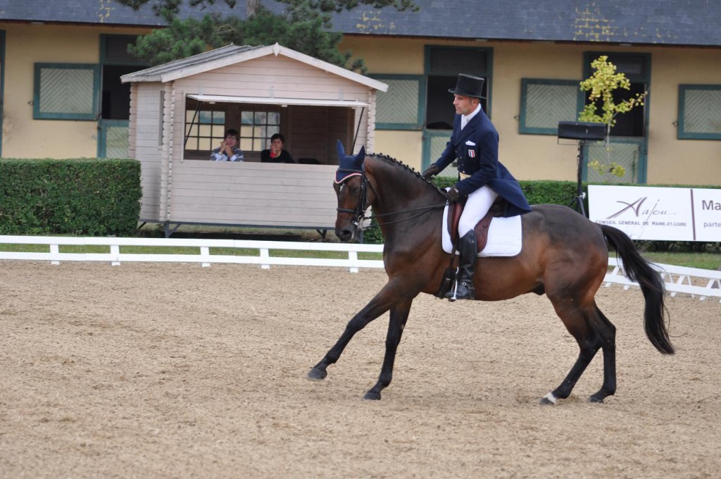 JO : Denis et Oregon sur le dressage