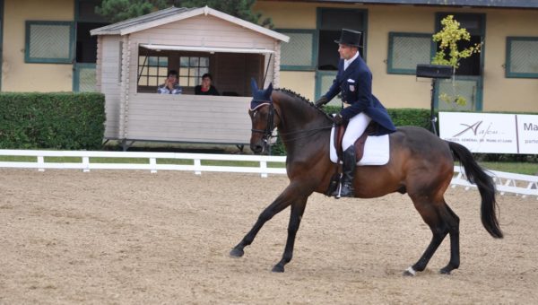 JO : Denis et Oregon sur le dressage