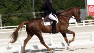 Grand Complet : Clayton en tête du CIC*