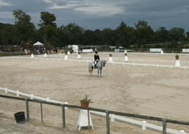 Grand Complet : dressage du CIC-W***