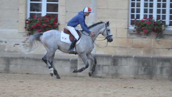 Les chevaux de Tom Carlile