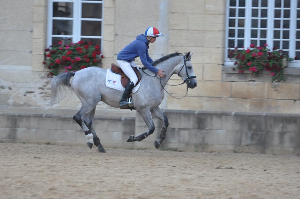 Les chevaux de Tom Carlile