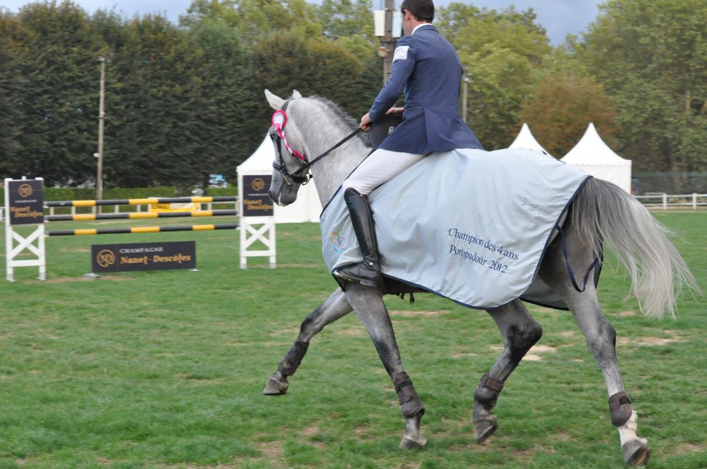 La Championne de France des 3 ans SF sous la selle de Thomas Carlile