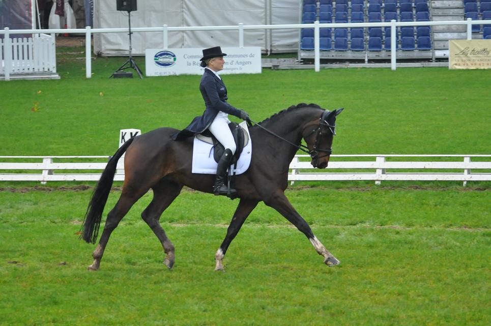 Mondial du Lion : dressage des 6 ans