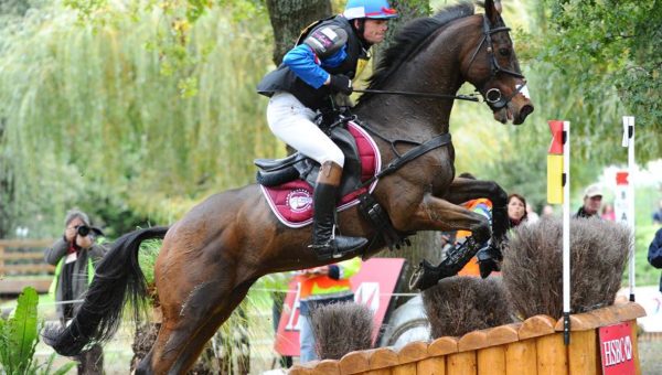 Lanacan : le petit cheval au grand cœur !