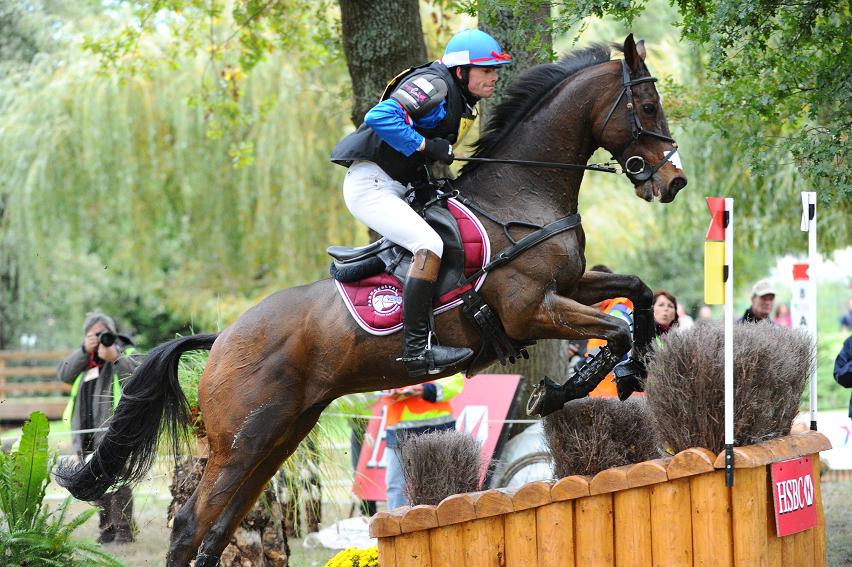 Lanacan : le petit cheval au grand cœur !