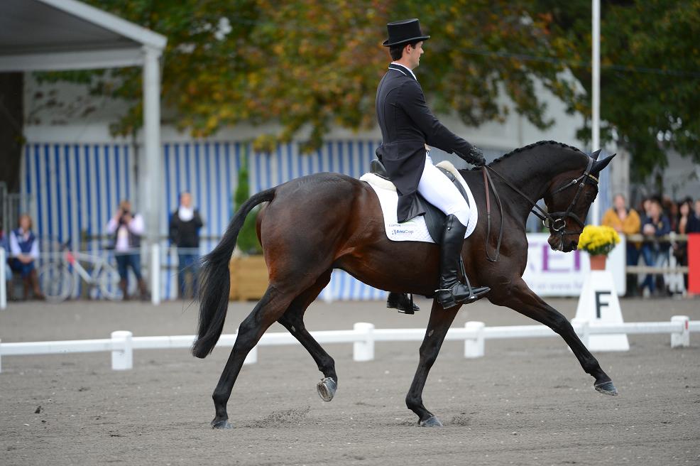 Pau : un dressage de stars !