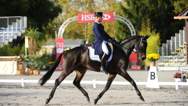 Pau : résultats du dressage