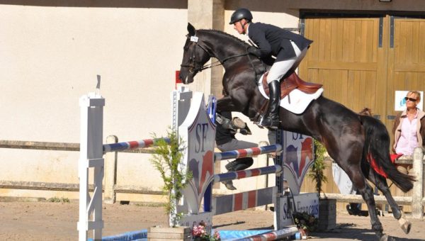 Martin Haméon au Mondial du Lion (2ème partie)