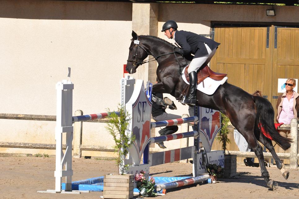 Martin Haméon au Mondial du Lion (2ème partie)