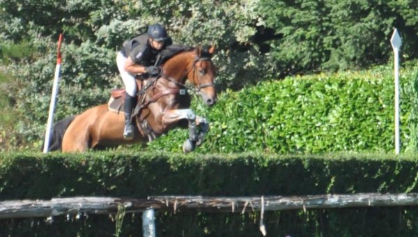 Martin Haméon au Mondial du Lion (1ère partie)