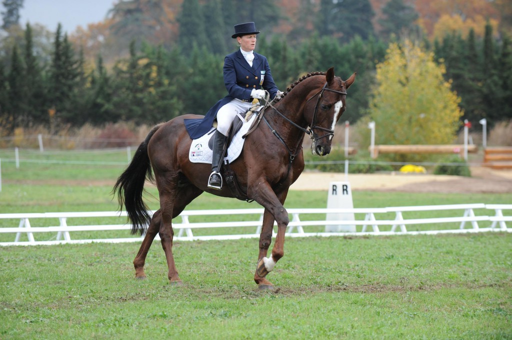 Le Pouget : Karin Donckers et Mathieu Lemoine meilleurs au dressage