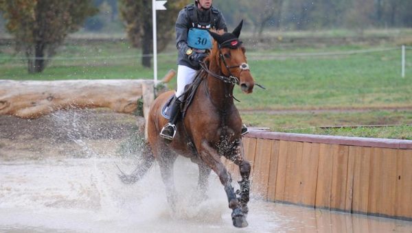 Le Pouget : Lemoine et Donckers résistent