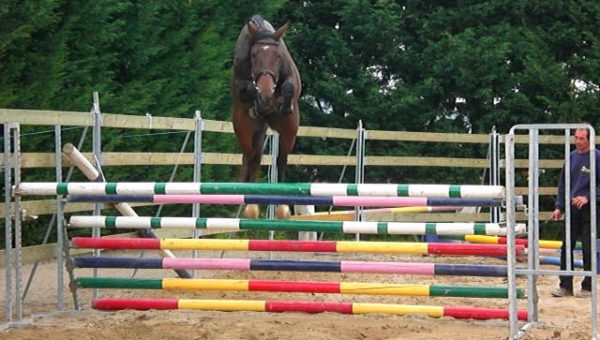 Un nouveau cheval pour Donatien Schauly