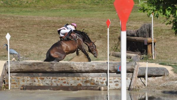 La plus belle acrobatie de l’année 2012 !