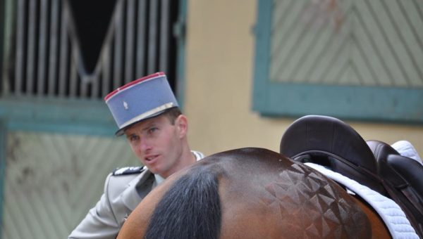 Les chevaux de Donatien