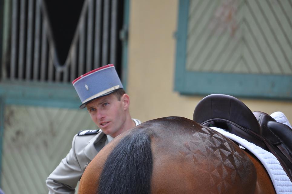 Les chevaux de Donatien