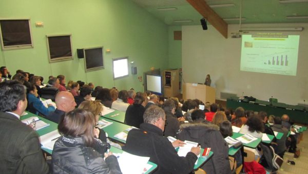 Journée sur le comportement du cheval