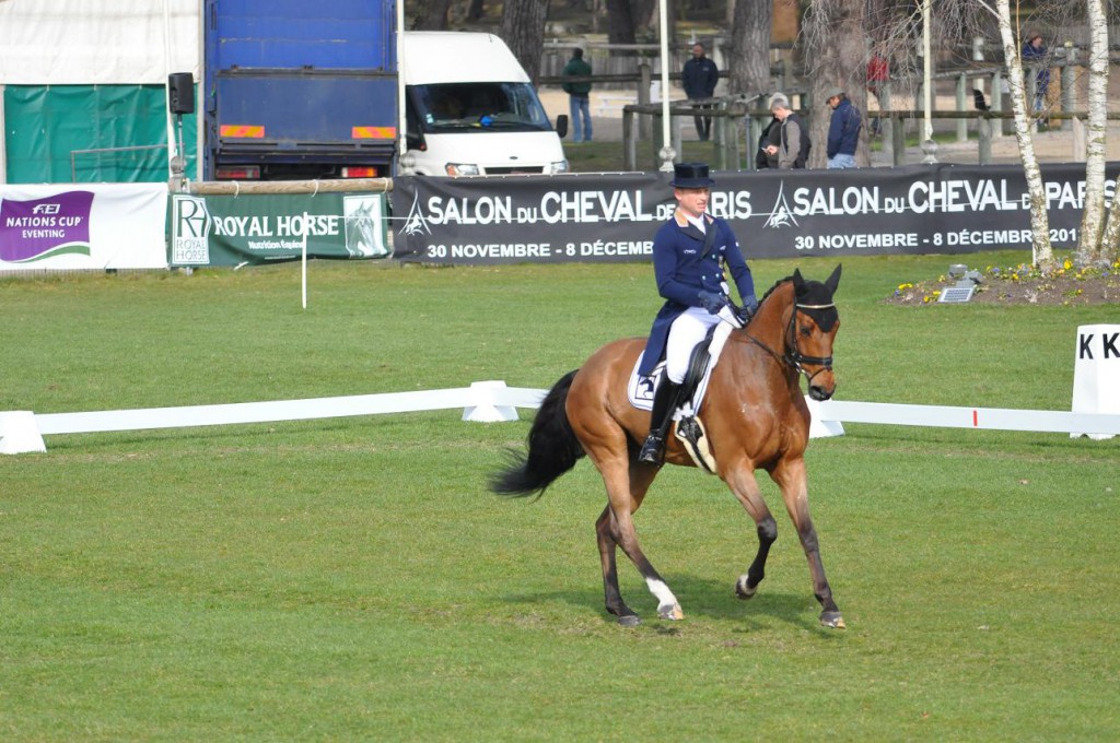 Fontainebleau : dressage du CICO