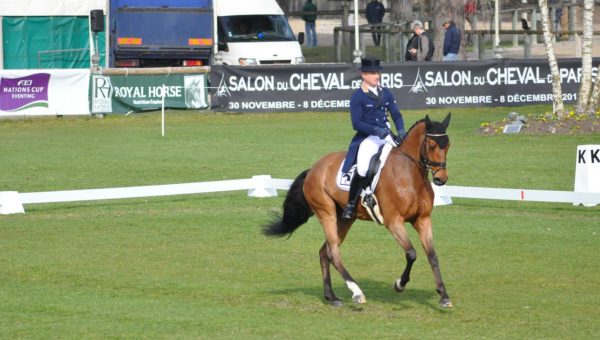 Fontainebleau : dressage du CICO