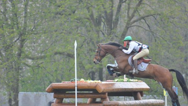 Les chevaux de Nicolas Touzaint