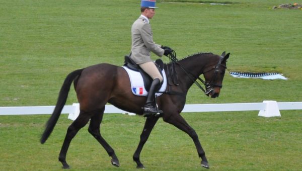 Bramham : Maxime Livio en tête après le 1er jour!