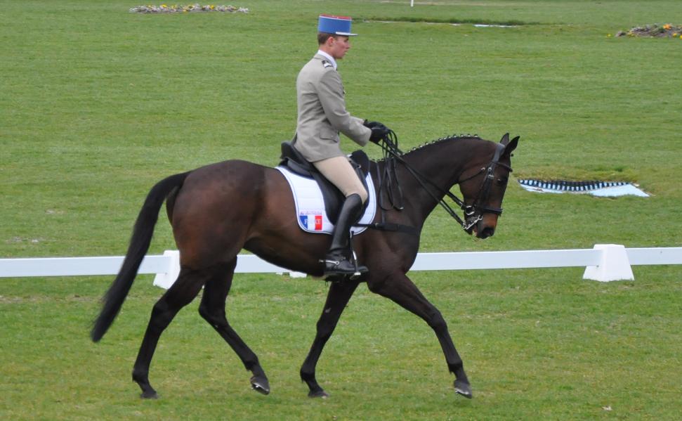 Bramham : Maxime Livio en tête après le 1er jour!