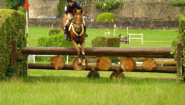 Maxime Griveaux : 4ème meilleur cavalier Jeunes Chevaux!