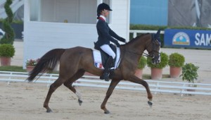 Europe Poney : Victor Levecque gagne le dressage