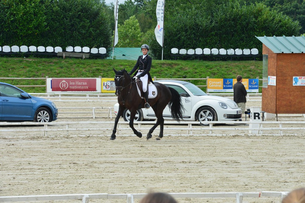 Sandillon : dressage des Juniors et cross des Pro 1