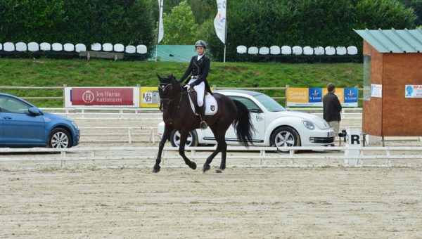 Sandillon : dressage des Juniors et cross des Pro 1