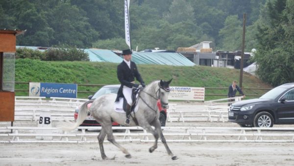 Sandillon : Nicolas Touzaint remporte le dressage