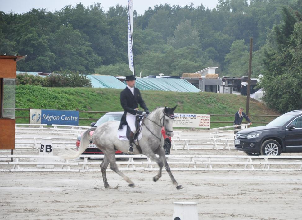 Sandillon : Nicolas Touzaint remporte le dressage