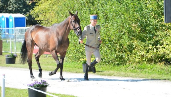 Malmö : 2ème inspection vétérinaire