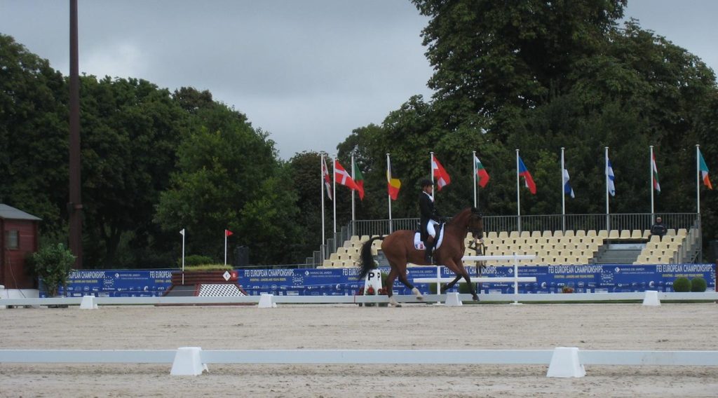 La Belgique et l’Allemagne à l’honneur au Haras de Jardy