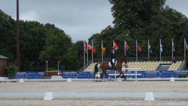 La Belgique et l’Allemagne à l’honneur au Haras de Jardy