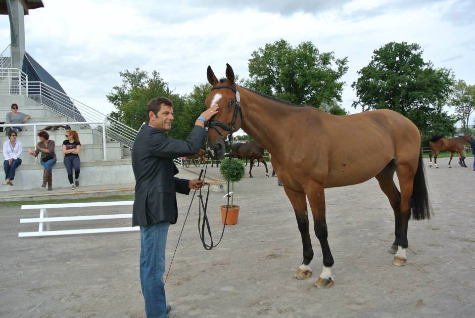 Lignières : le dressage à mi-journée