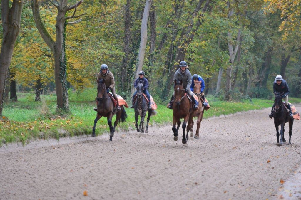 Lionel et Donatien sur un cheval de course