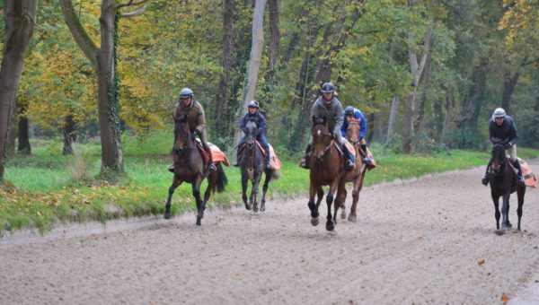 Lionel et Donatien sur un cheval de course