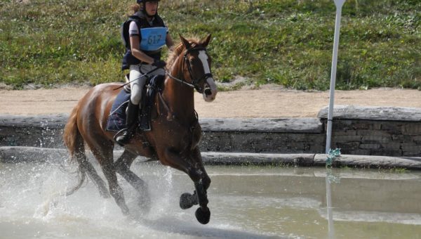 Championnat des 7 ans Amateur 2014