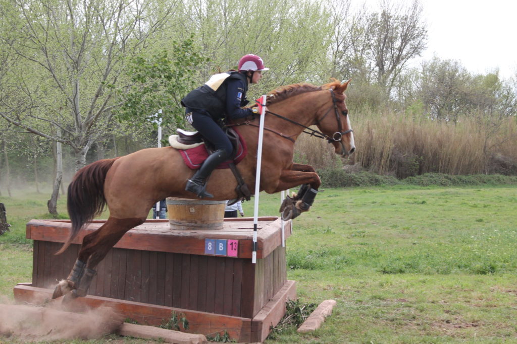 Trebes : Ulysse de Bel Air, meilleur 7 ans Amateur