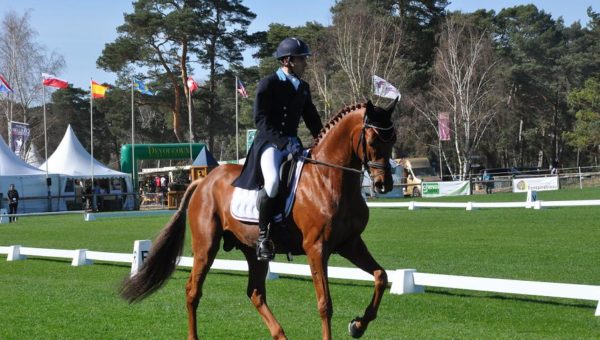 Houghton Hall : Luc Chateau gagne le dressage