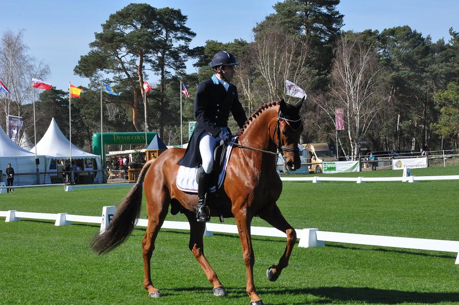 Houghton Hall : Luc Chateau gagne le dressage