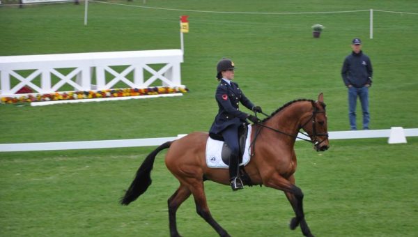 Fontainebleau : Panizzon reste en tête