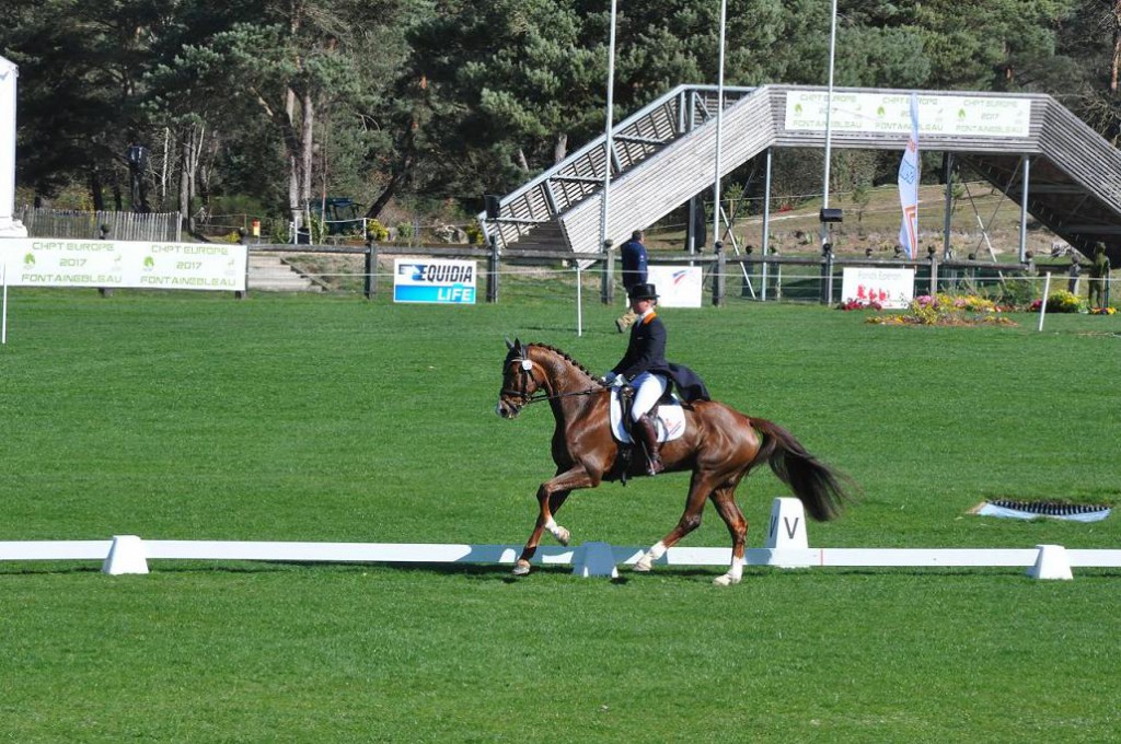 Fontainebleau : premiers dressages du CIC***