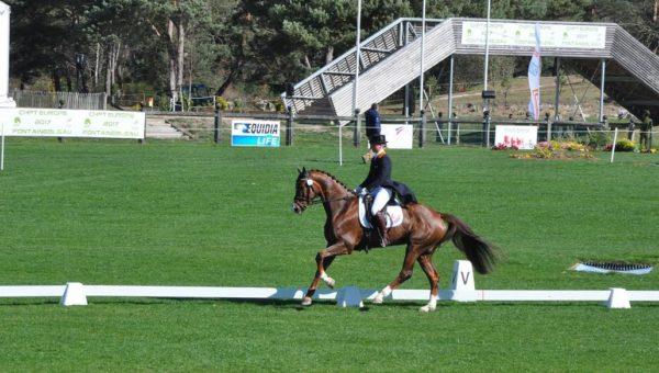 Fontainebleau : premiers dressages du CIC***