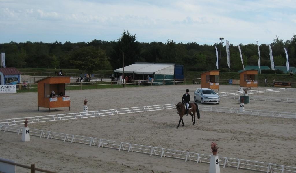 Discussion de dressage avec François Belz