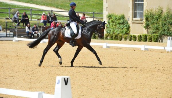 Pompadour : Karim et Entebbe gagnent le dressage !